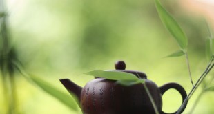 Πράσινο Τσάι: Μύθοι Vs Πραγματικότητα
