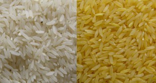 Ρύζι: Πως να το μαγειρέψετε